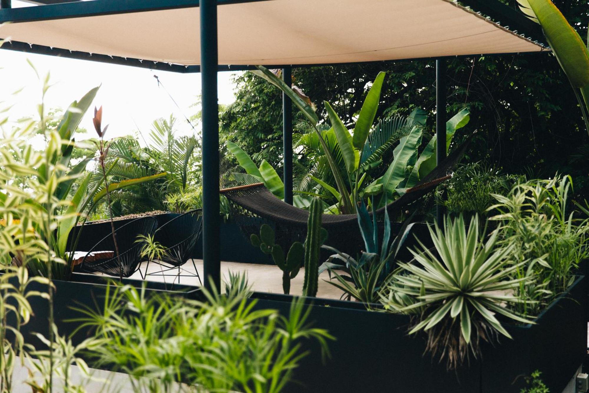 Mint Santa Teresa - Adults Only Hotel Playa Santa Teresa  Luaran gambar